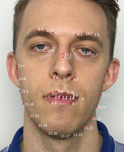 Visual Animation Data Points